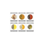 چایساز بیسمارک مدل BM2285 - Image 5